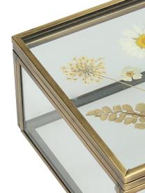 Aufbewahrungsbox Dried Flowers, Rahmen: Metall, beschichtet, Gold, Transparent, B 10 x H 6 cm