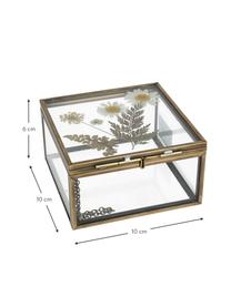Skladovací box Dried Flowers, Zlatá, transparentní, Š 10 cm, V 6 cm