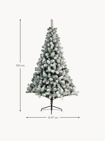 Albero di Natale artificiale innevato North Pole, Verde, bianco, Ø 97 x Alt. 150 cm