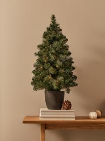 Decoratieve LED kerstboom Imperial, H 90 cm, Donkergroen, donkergrijs, Ø 50 x H 90 cm