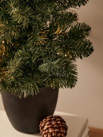 Albero di Natale a LED artificiale Imperial, alt. 90 cm, Verde scuro, grigio scuro, Ø 50 x Alt. 90 cm
