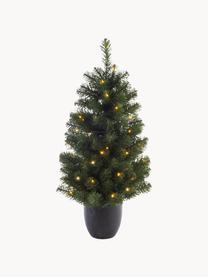 Albero di Natale a LED artificiale Imperial, alt. 90 cm, Verde scuro, grigio scuro, Ø 50 x Alt. 90 cm