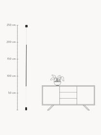 Design LED-Pendelleuchte mit Bodenverankerung Elettra, Baldachin: Aluminium, beschichtet, Schwarz, Ø 7 x H 120 cm