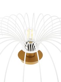 Plafondlamp Aspendos van metaal, Baldakijn: gecoat metaal, Wit, messingkleurig, Ø 56 x H 16 cm