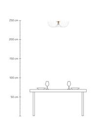 Plafoniera in metallo Aspendos, Paralume: metallo rivestito, Baldacchino: metallo rivestito, Bianco, ottonato, Ø 56 x Alt. 16 cm