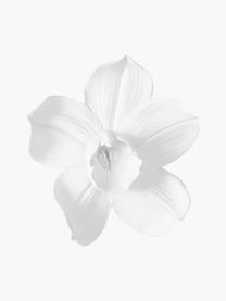 Oggetto da parete Orchid, in varie misure, Poliresina, Bianco, Larg. 40 x Alt. 44 cm