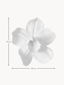 Nástěnná dekorace Orchid, v různých velikostech, Polyresin, Bílá, Š 40 cm, V 44 cm