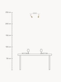 Riel LED Bobby, Anclaje: metal con pintura en polv, Estructura: metal con pintura en polv, Blanco, dorado, An 47 x Al 13 cm