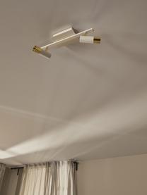 LED plafondspot Bobby-goudkleurig, Baldakijn: gepoedercoat metaal, Wit, goudkleurig, B 47 x H 13 cm