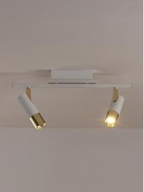 LED plafondspot Bobby-goudkleurig, Baldakijn: gepoedercoat metaal, Wit, goudkleurig, B 47 x H 13 cm