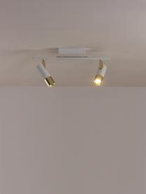 Plafonnier spot LED Bobby, Blanc, couleur dorée, larg. 47 x haut. 13 cm