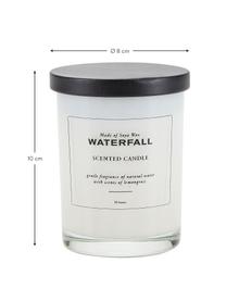 Duftkerze Waterfall (Natürliches Wasser, Zitronengras), Behälter: Glas, Deckel: Kunststoff, Natürliches Wasser, Zitronengras, Ø 8 x H 10 cm