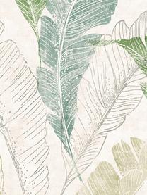 Papel pintado Capri Tropical Leaf, Beige, tonos verdes, An 53 x L 1005 cm