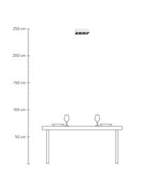 Plafondspot Hydra, Lampenkap: gecoat staal, Baldakijn: gecoat staal, Wit, zwart, 34 x 11 cm