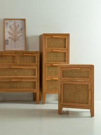Chiffonnier Nina, Estructura: madera de abeto, madera c, Tonos marrones, An 47 x Al 71 cm