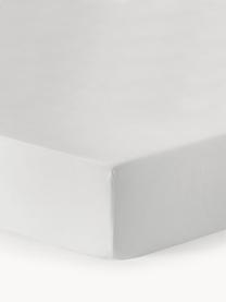 Lenzuolo con angoli topper in flanella Biba, Bianco, Larg. 200 x Lung. 200 cm, Alt. 15 cm