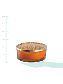 Duftkerze Narana (Orange), Behälter: Glas, Deckel: Metall, Goldfarben, Orange, Ø 20 x H 8 cm