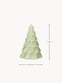 Kerstkaars Pinus in de vorm van een dennenboom, Paraffine, Saliegroen, Ø 10 x H 14 cm