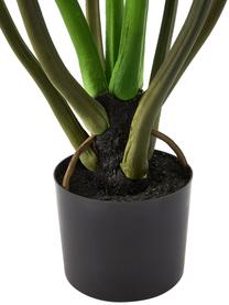 Plante artificielle en pot Alocasia, Plastique, Vert, haut. 91 cm