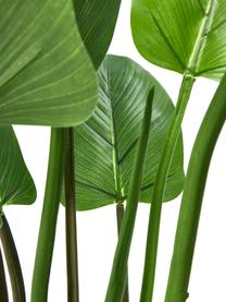 Kunstplant Alocasia in een plantenpot, Kunststof, Groen, H 91 cm