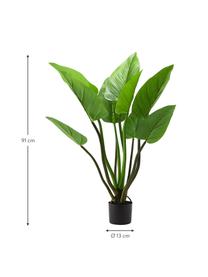 Umělá rostlina v květináči Alocasia, Umělá hmota, Zelená, V 91 cm