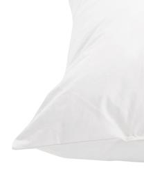 Garnissage de coussin garnissage plumes Comfort, 40 x 60, Blanc