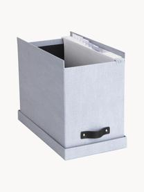 Caja organizadora Jahan, Caja: canvas, cartón rígido (10, Asa: cuero, Gris claro, marrón, L 19 x An 35 cm