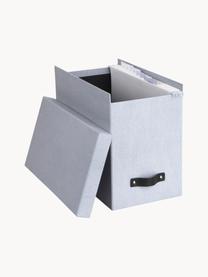 Caja organizadora Jahan, Caja: canvas, cartón rígido (10, Asa: cuero, Gris claro, marrón, L 19 x An 35 cm