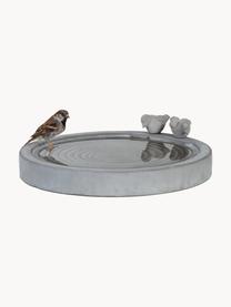 Baño para pájaros Bettany, Gris cemento, Gris, Ø 39 x Al 9 cm