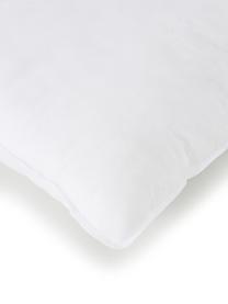 Kissen-Inlett Egret, 30x60, Polyester-Füllung, Bezug: Kunstfaser, Weiß, B 30 x L 60 cm