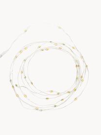 LED lichtslinger Wiry, 195 cm, Kunststof, metaal, Transparant, L 195 cm