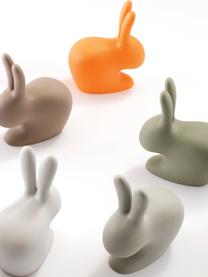 Kinderkruk Rabbit, Kunststof (polyethyleen), Groen, 46 x 53 cm