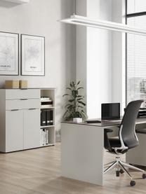 Armoire de bureau Ancona, Beige clair, bois effet noyer, larg. 81 x haut. 120 cm