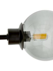 Lampa wisząca Aurelia, Szary, transparentny, czarny, S 110 x W 60 cm