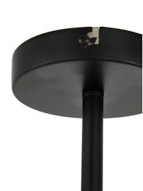 Lampa wisząca Aurelia, Szary, transparentny, czarny, S 110 x W 60 cm