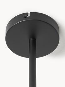 Veľká závesná lampa Aurelia, Sivá, priehľadná, čierna, Š 110 x V 60 cm