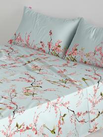 Drap plat en coton Chinoiserie, Bleu ciel, vert, rose vif, 240 x 270 cm