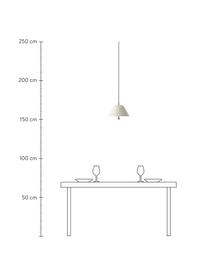 Lámpara de techo Levitate, Pantalla: metal recubierto, Cable: plástico, Gris claro, Ø 28 x Al 22 cm