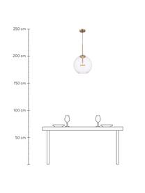 LED-Pendelleuchte Cometa aus Glas, Lampenschirm: Glas, Baldachin: Metall, pulverbeschichtet, Transparent, Goldfarben, Schwarz, Ø 35 x H 35 cm