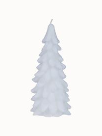 Vela navideña pino Tree, Cera, Blanco nieve, Ø 10 x Al 20 cm