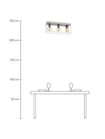 Faretti da soffitto in cemento Gretter, Struttura: metallo, Baldacchino: cemento, Grigio, nero, Larg. 55 x Alt. 23 cm