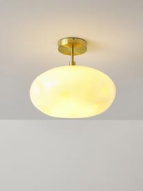 Plafoniera in vetro opalino Josie, Paralume: vetro opale, Baldacchino: metallo spazzolato, Bianco crema, Ø 35 x Alt. 31 cm