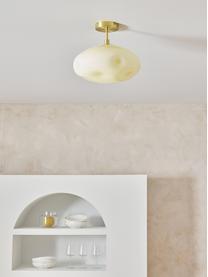 Lampada da soffitto  in vetro opalino Josie, Paralume: vetro opale, Baldacchino: metallo spazzolato, Bianco crema, Ø 35 x Alt. 31 cm