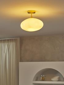 Lampada da soffitto  in vetro opalino Josie, Paralume: vetro opale, Baldacchino: metallo spazzolato, Bianco crema, Ø 35 x Alt. 31 cm