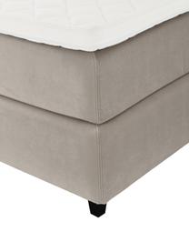 Letto boxspring premium in velluto color taupe Phoebe, Materasso: nucleo a 5 zone di molle , Piedini: legno di betulla massicci, Velluto taupe, 200 x 200 cm, durezza 3