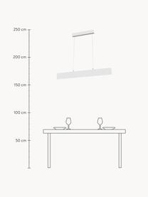 Lampada a sospensione grande a LED Step, Paralume: metallo rivestito, Struttura: metallo rivestito, Baldacchino: metallo rivestito, Bianco, argentato, Larg. 91 x Alt. 20 cm