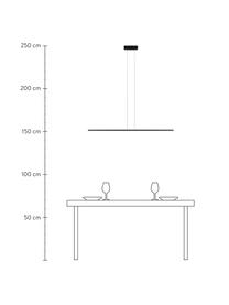 Lámpara de techo grande LED Linea, Pantalla: silicona, metal con pintu, Estructura: metal con pintura en polv, Anclaje: metal con pintura en polv, Cable: plástico, Negro, An 100 x Al 2 cm