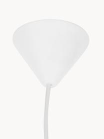 Lámpara de techo de plumas Eos, Pantalla: plumas de ganso con certi, Anclaje: plástico, Blanco, Ø 45 x Al 30 cm