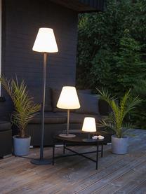 Lámpara de pie LED para exterior Gardenlight, con enchufe, Pantalla: plástico, Cable: plástico, Blanco, gris antracita, Ø 28 x Al 150 cm