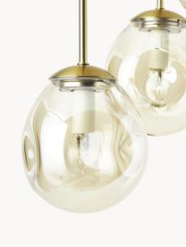 Lámpara de techo cluster de vidrio Amora, Anclaje: metal cepillado, Cable: cubierto en tela, Dorado, latón, Ø 15 x Al 16 cm